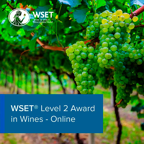 WSET Level 2 Award in Wines ONLINE